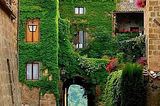 Ivy Arch, Provence, France