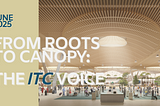 From Forest to Flight: Tribal Forestry Elevates Portland Airport
