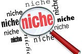 What’s in a Niche?