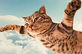 Two important reasons we decided to produce When Cats Fly