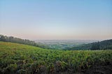 This is What I Wish More People Knew About These 5 Famous French Wine Regions