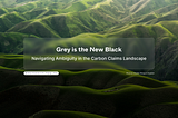 Grey is the New Black: Navigating Ambiguity in the Carbon Claims Landscape