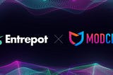 Advancing Protection for Entrepot NFT Marketplace with MODCLUB