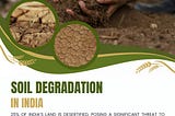 The Role of Regenerative Agriculture in Combating Soil Degradation in India