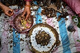 Hands sorting larvae from a wasp hive. The hive is in sections. The poem on this page is about how people transform into a hivemind in their collective thoughts rather than people thinking for themselves. The image of a hive is central to the poem’s message. | Photo Courtesy: Quang Nguyen Vinh, Pexels