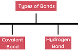 Basic things about Organic Chemistry I wish someone had told me before.