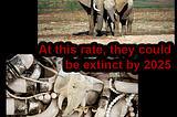 Stop Ivory Product Sales on Craiglist!