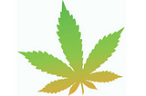 Why I Use CBD