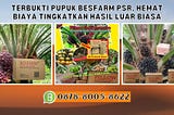 TERBUKTI, WA: 0878–8005–8622 Pupuk Sawit Umur 10 TahunTerpercaya Di Aceh Selatan Pupuk Sawit Umur…