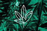 Cannabis branding — time to turn over a new leaf?