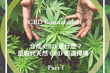 合成 CBD 是什麼？是取代天然 CBD 的選擇嗎？