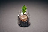 small jar with a few coins and a small plant