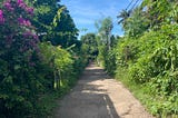 Walking on Gili Air island