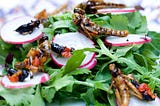 Edible Insects for Dinner and Discussion