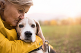 Man’s Best Friend? Three Surprising Hazards of Pet Ownership for Seniors with Dementia