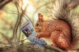 A red squirrel sits on a tree branch and reads a newspaper. We presume he’s reading the obituaries.