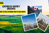 How does the IRCC determine when to hold Express Entry draws?