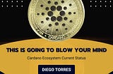 Cardano la gran sorpresa del 2024