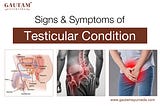Understand Symptoms of Testicular Condition