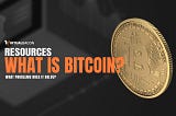 What is Bitcoin? What problems does it solve?