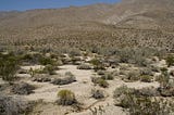 Desert Hiking!