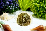 SnapBots News Review-Penambang Bitcoin buktikan potensi penggunaan energi terbarukan setelah jalani…