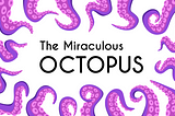 The Miraculous Octopus