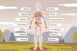 Sanatan Physiology Insights