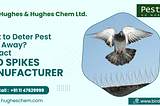 Want to Deter Pest Birds Away? Contact Bird Spikes Manufacturer