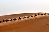 Caravane dans le désert