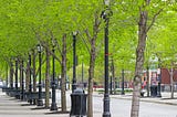 20 Visionary Cities for Urban Tree and Greening Policies