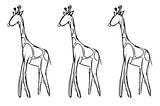 Designers as Giraffes