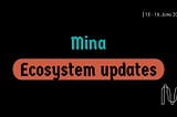 Mina Ecosystem Weekly updates / 10–16 June 2024