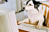 Computers are like your dog. Coding explained