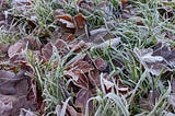 Frost