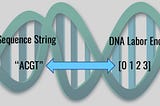 DNA Sequence String Conversion to Label Encoder for Machine Learning Algorithms