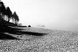 In a Washington Fog