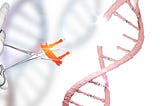 Prime editing is the new way scientists will be able to copy and paste segments in our DNA. (The photo of Isreal.)