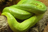 Exploration de Python : les boucles for et enumerate