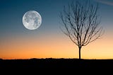 Two Crow’s Dance with Grandmother Moon