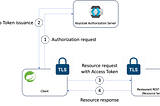 Building robust APIs: a comprehensive guide to OAuth2 and TLS integration in REST services — Part 3