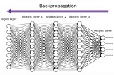 Everything you need to know about Artificial Neural Network