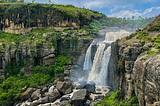 Roaming The Wild (Ethiopia)