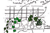 From Blooming Memories to a Tiny Space of Bliss: My Journey with Houseplant Hydroponics