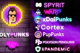 What’s Happening in the Polypunks Universe?