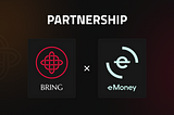 Payments for Everyone: e-Money Partnership