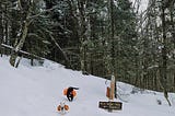 Two dogs wearing orange packs running on a snowy hiking trail near a West Ridge Trail sign on Mount Cardigan