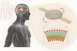 Drawing of a male torso (head and chest) with electric current stimulating brain