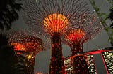 Chinese New Year…from a French perspective!