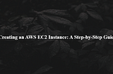 Creating an AWS EC2 Instance: A Step-by-Step Guide